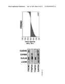 Use of Sumoylation Inhibitors for Treating Cancer diagram and image