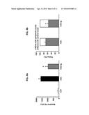 METHODS OF TREATING MUSCULAR DYSTROPHY diagram and image