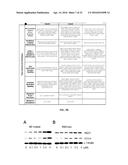 SMALL MOLECULE ACTIVATORS OF NRF2 PATHWAY diagram and image