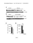 SMALL MOLECULE ACTIVATORS OF NRF2 PATHWAY diagram and image