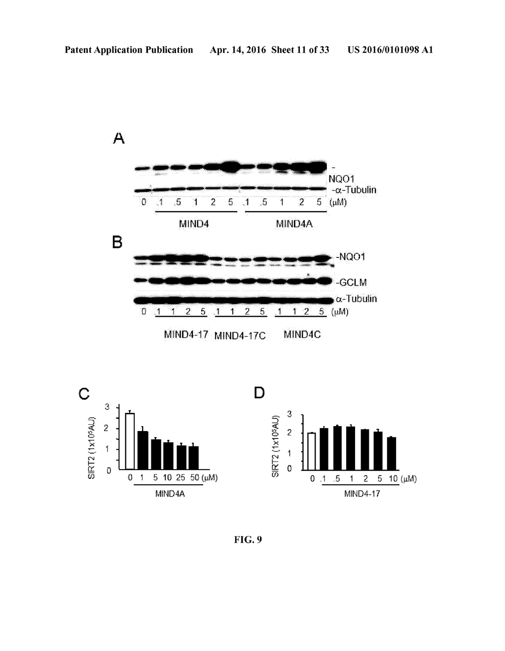 SMALL MOLECULE ACTIVATORS OF NRF2 PATHWAY - diagram, schematic, and image 12