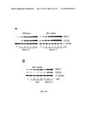 SMALL MOLECULE ACTIVATORS OF NRF2 PATHWAY diagram and image