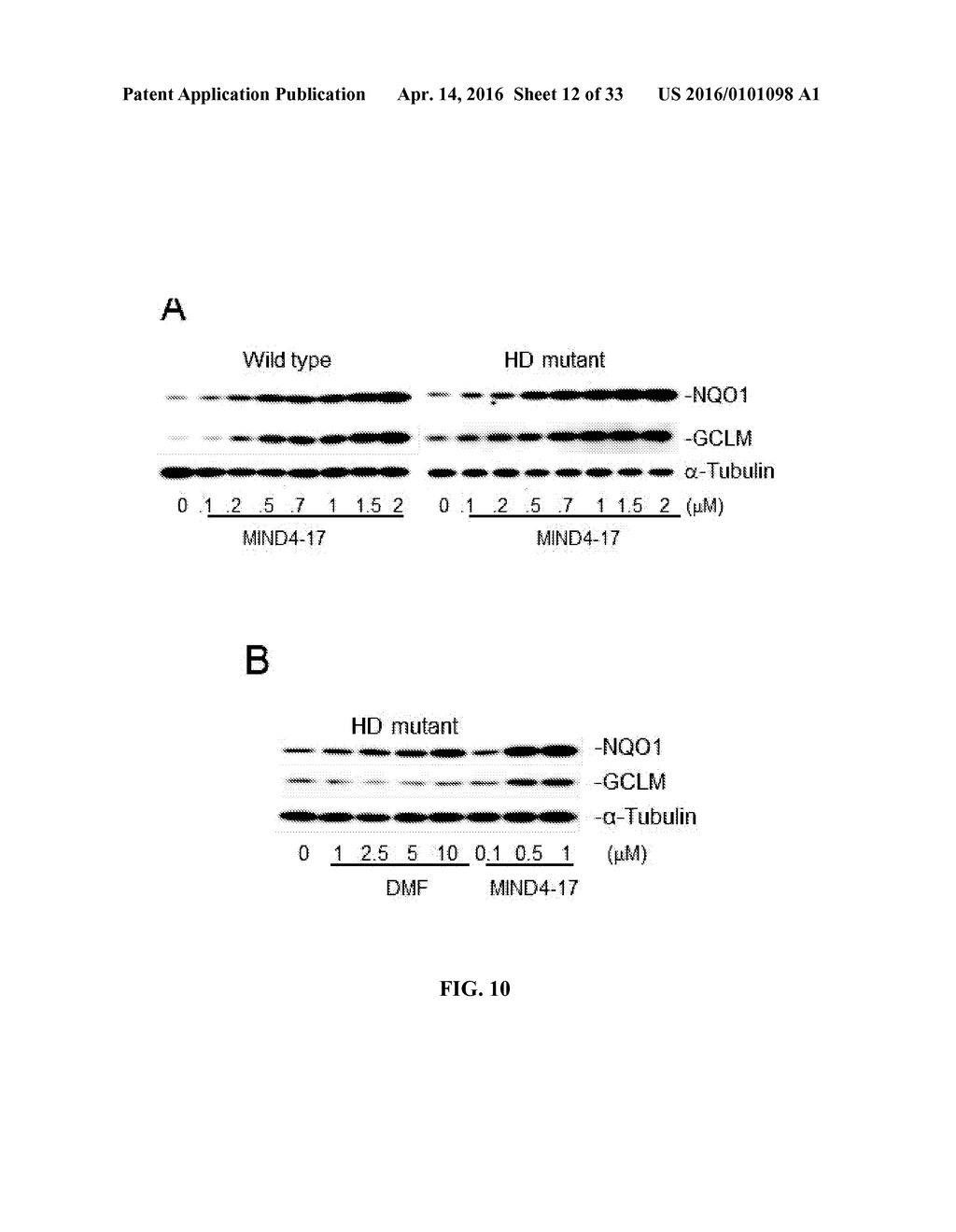 SMALL MOLECULE ACTIVATORS OF NRF2 PATHWAY - diagram, schematic, and image 13