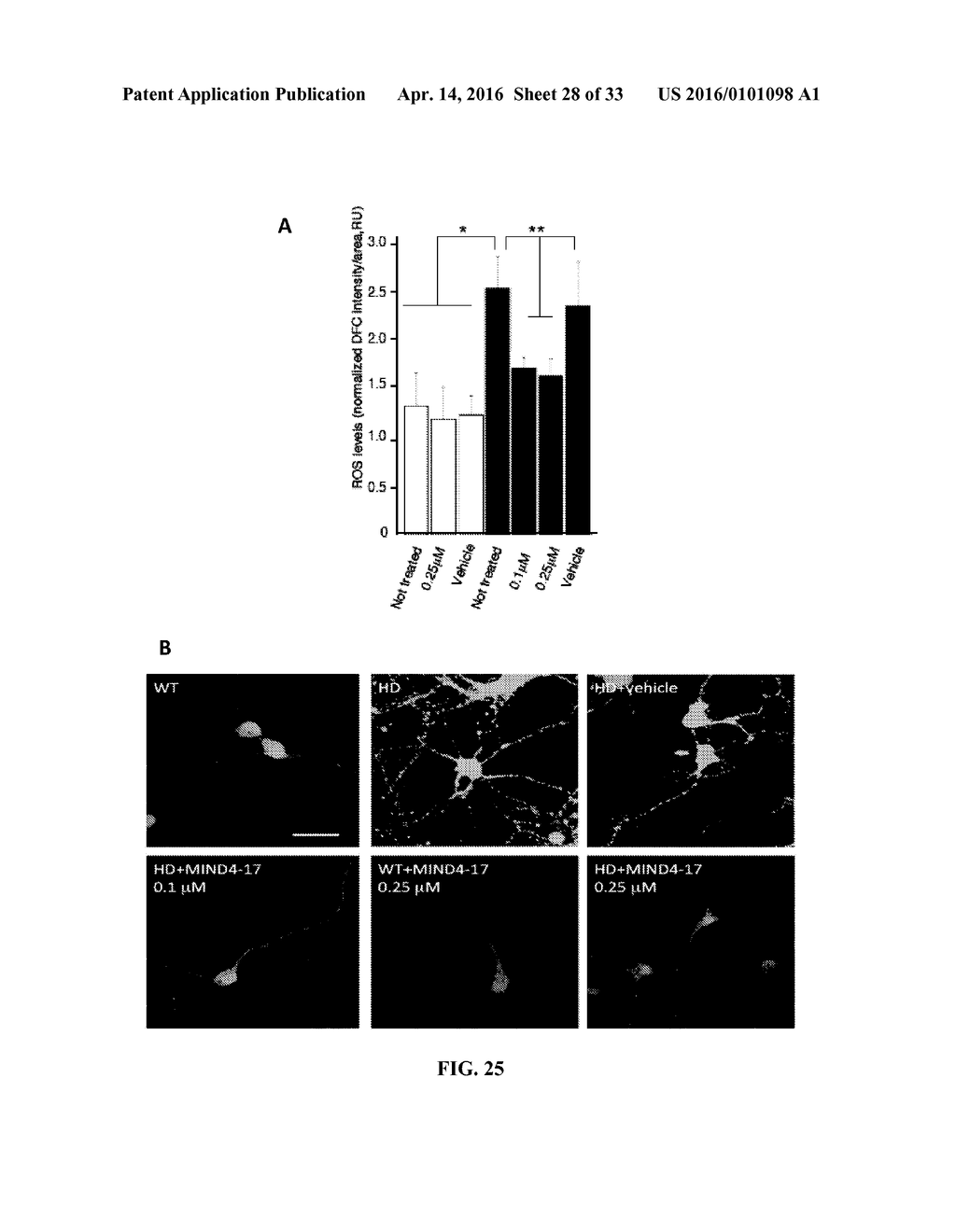 SMALL MOLECULE ACTIVATORS OF NRF2 PATHWAY - diagram, schematic, and image 29