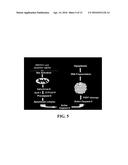 COMPOSITIONS COMPRISING NANOPARTICLES AND APOPTOTIC AGENTS AND METHODS OF     USE diagram and image