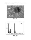 COMPOSITIONS COMPRISING NANOPARTICLES AND APOPTOTIC AGENTS AND METHODS OF     USE diagram and image