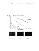 Method and Composition for Hypothermic Storage of Placental Tissue diagram and image