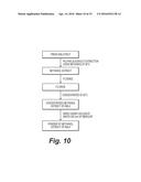 Medicinal Composition of Amaranth Extract Having Enriched Nitrate Content     and a Method of Preparing the same diagram and image