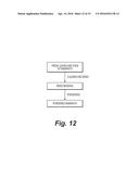 Medicinal Composition of Amaranth Extract Having Enriched Nitrate Content     and a Method of Preparing the same diagram and image