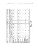 Medicinal Composition of Amaranth Extract Having Enriched Nitrate Content     and a Method of Preparing the same diagram and image