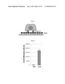 PEPTIDE FOR INHIBITION OF BINDING BETWEEN ANGIOPOIETIN-2 AND INTEGRIN AND     USE THEREOF diagram and image