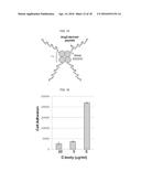 PEPTIDE FOR INHIBITION OF BINDING BETWEEN ANGIOPOIETIN-2 AND INTEGRIN AND     USE THEREOF diagram and image