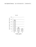 PEPTIDE FOR INHIBITION OF BINDING BETWEEN ANGIOPOIETIN-2 AND INTEGRIN AND     USE THEREOF diagram and image