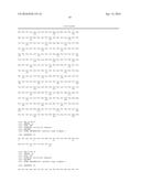 PEPTIDE FOR INHIBITION OF BINDING BETWEEN ANGIOPOIETIN-2 AND INTEGRIN AND     USE THEREOF diagram and image