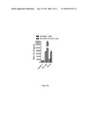 USE OF A TRUNCATED CCN1 PROMOTER FOR CANCER DIAGNOSTICS, THERAPEUTICS AND     THERANOSTICS diagram and image