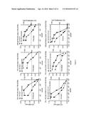 USE OF A TRUNCATED CCN1 PROMOTER FOR CANCER DIAGNOSTICS, THERAPEUTICS AND     THERANOSTICS diagram and image