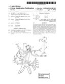 Method and Apparatus for Stimulating the Vascular System diagram and image