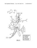 Method and Apparatus for Stimulating the Vascular System diagram and image