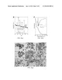 METHOD TO SYNTHESIZE COLLOIDAL IRON PYRITE (FeS2) NANOCRYSTALS AND     FABRICATE IRON PYRITE THIN FILM SOLAR CELLS diagram and image