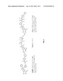 HYDROXYINDOLE CARBOXYLIC ACID BASED INHIBITORS FOR ONCOGENIC SRC     HOMOLOGY-2 DOMAIN CONTAINING PROTEIN TYROSINE PHOSPHATASE-2 (SHP2) diagram and image