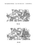 HYDROXYINDOLE CARBOXYLIC ACID BASED INHIBITORS FOR ONCOGENIC SRC     HOMOLOGY-2 DOMAIN CONTAINING PROTEIN TYROSINE PHOSPHATASE-2 (SHP2) diagram and image