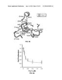 HYDROXYINDOLE CARBOXYLIC ACID BASED INHIBITORS FOR ONCOGENIC SRC     HOMOLOGY-2 DOMAIN CONTAINING PROTEIN TYROSINE PHOSPHATASE-2 (SHP2) diagram and image