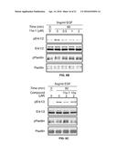 HYDROXYINDOLE CARBOXYLIC ACID BASED INHIBITORS FOR ONCOGENIC SRC     HOMOLOGY-2 DOMAIN CONTAINING PROTEIN TYROSINE PHOSPHATASE-2 (SHP2) diagram and image