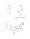 ANTIOXIDANT HUMIC ACID DERIVATIVES AND METHODS OF PREPARATION AND USE diagram and image