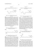 Ataxia Telengiectasia And Rad3-Related (ATR) Protein Kinase Inhibitors diagram and image