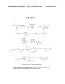 HUMAN iNKT CELL ACTIVATION USING GLYCOLIPIDS diagram and image