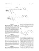 HUMAN iNKT CELL ACTIVATION USING GLYCOLIPIDS diagram and image