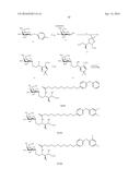 HUMAN iNKT CELL ACTIVATION USING GLYCOLIPIDS diagram and image