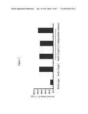 CODON OPTIMIZED IL-15 AND IL-15R-ALPHA GENES FOR EXPRESSION IN MAMMALIAN     CELLS diagram and image