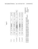 CODON OPTIMIZED IL-15 AND IL-15R-ALPHA GENES FOR EXPRESSION IN MAMMALIAN     CELLS diagram and image