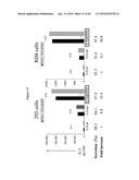 CODON OPTIMIZED IL-15 AND IL-15R-ALPHA GENES FOR EXPRESSION IN MAMMALIAN     CELLS diagram and image