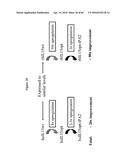 CODON OPTIMIZED IL-15 AND IL-15R-ALPHA GENES FOR EXPRESSION IN MAMMALIAN     CELLS diagram and image