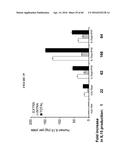 CODON OPTIMIZED IL-15 AND IL-15R-ALPHA GENES FOR EXPRESSION IN MAMMALIAN     CELLS diagram and image