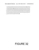 CODON OPTIMIZED IL-15 AND IL-15R-ALPHA GENES FOR EXPRESSION IN MAMMALIAN     CELLS diagram and image