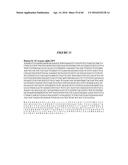 CODON OPTIMIZED IL-15 AND IL-15R-ALPHA GENES FOR EXPRESSION IN MAMMALIAN     CELLS diagram and image