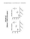 CODON OPTIMIZED IL-15 AND IL-15R-ALPHA GENES FOR EXPRESSION IN MAMMALIAN     CELLS diagram and image