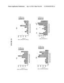 CODON OPTIMIZED IL-15 AND IL-15R-ALPHA GENES FOR EXPRESSION IN MAMMALIAN     CELLS diagram and image