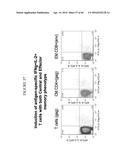 CODON OPTIMIZED IL-15 AND IL-15R-ALPHA GENES FOR EXPRESSION IN MAMMALIAN     CELLS diagram and image