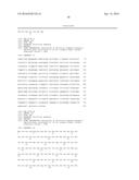 CODON OPTIMIZED IL-15 AND IL-15R-ALPHA GENES FOR EXPRESSION IN MAMMALIAN     CELLS diagram and image