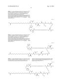 Stable GLP-1 Based GLP-1/Glucagon Receptor Co-Agonists diagram and image