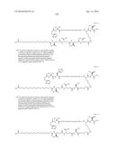 Stable GLP-1 Based GLP-1/Glucagon Receptor Co-Agonists diagram and image