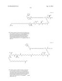 Stable GLP-1 Based GLP-1/Glucagon Receptor Co-Agonists diagram and image