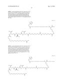 Stable GLP-1 Based GLP-1/Glucagon Receptor Co-Agonists diagram and image