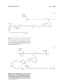 Stable GLP-1 Based GLP-1/Glucagon Receptor Co-Agonists diagram and image