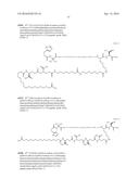 Stable GLP-1 Based GLP-1/Glucagon Receptor Co-Agonists diagram and image