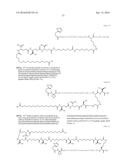 Stable GLP-1 Based GLP-1/Glucagon Receptor Co-Agonists diagram and image